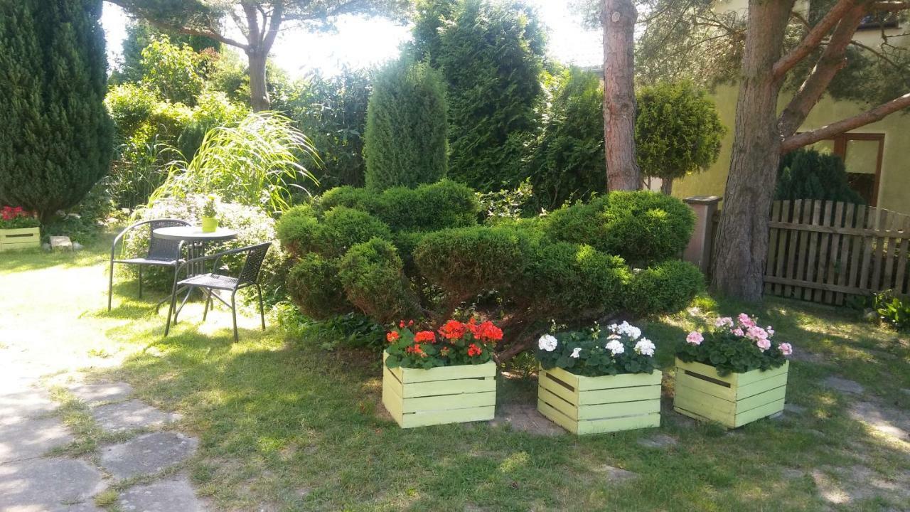 Apartmán Cichy Zakatek Sianożęty Exteriér fotografie